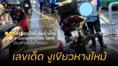 เลขเด็ด สาวเติมน้ำมันรถ เจองูเขียวหางไหม้