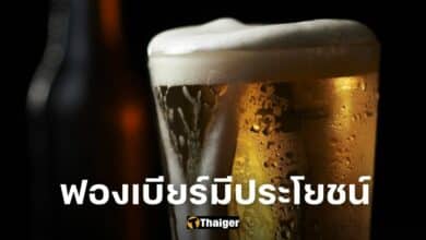 ปกฟองเบียร์มีประโยชน์