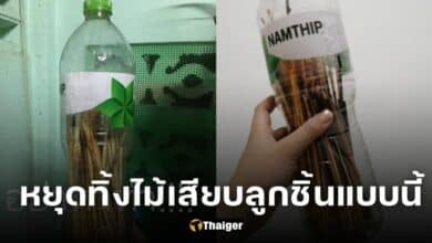 ปกอย่าหาทำ ทิ้งไม้เสียบลูกชิ้น