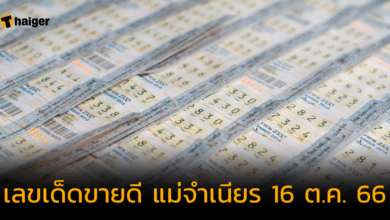เลขเด็ดขายดี แม่จำเนียร 16 ต.ค. 66