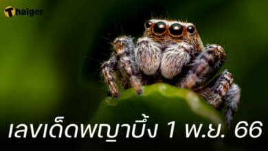 เลขเด็ดพญาบึ้ง 1 พ.ย. 66