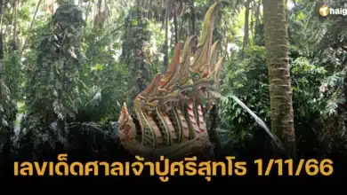 เลขเด็ดศาลเจ้าปู่ศรีสุทโธ 1 11 66