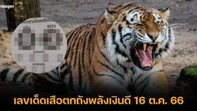 เลขเด็ดเสือตกถังพลังเงินดี หวยงวด 16 10 66 เสริมโชค เลขพลังรวย