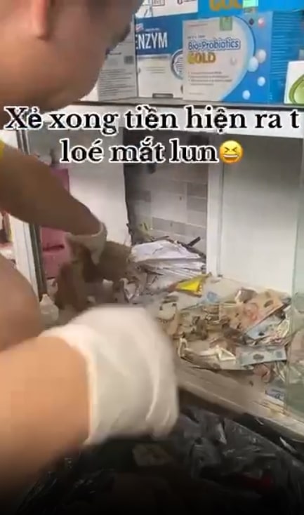 เสียงกร๊อบแกร๊บหลังกำแพงคิดว่าเป็นรังหนู แต่มีเงินซ่อนอยู่หลายบาท