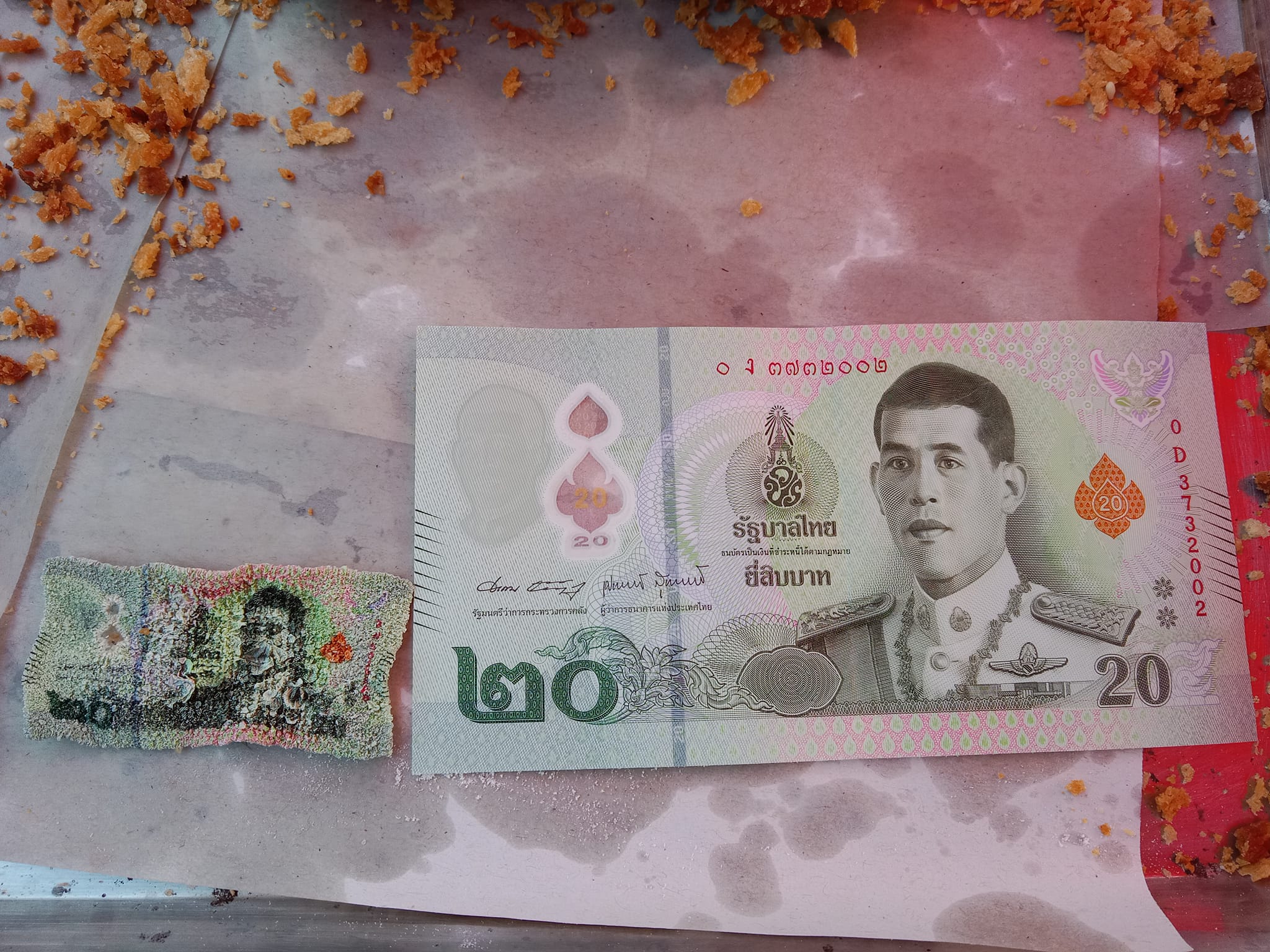 แบงก์ 20 ตกกระทะแลกได้ไหม