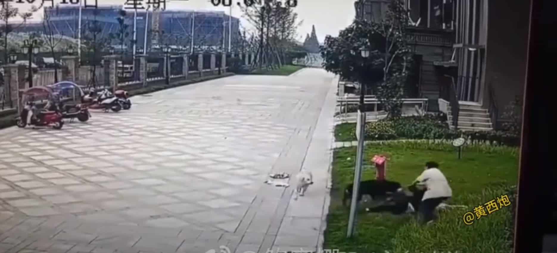 แม่บ้านเข้ามาช่วยเธอและลูก