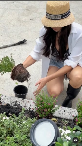 ริต้า แฟชั่นทำสวน