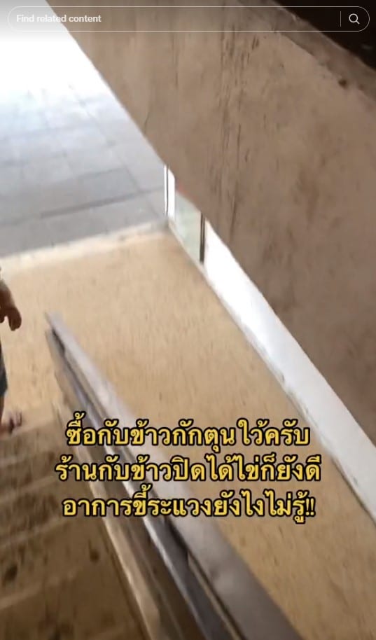 แรงงานไทยในอิสราเอล กักตุนอาหาร