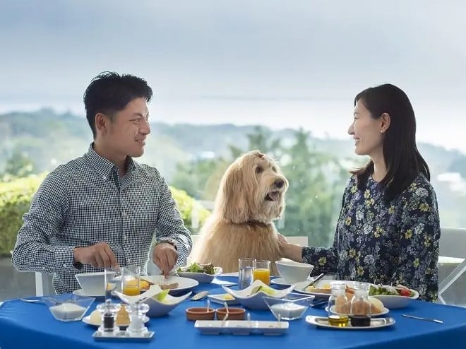 โรงแรม Wan's Resort Jogakasi Kaigan สัตว์เลี้ยงเข้าพักได้