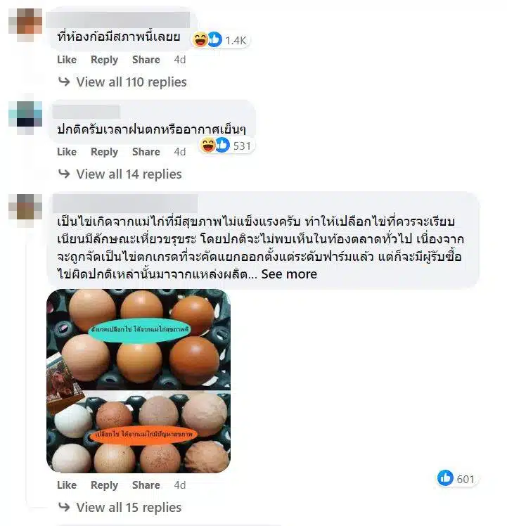ไข่ไก่วันนี้