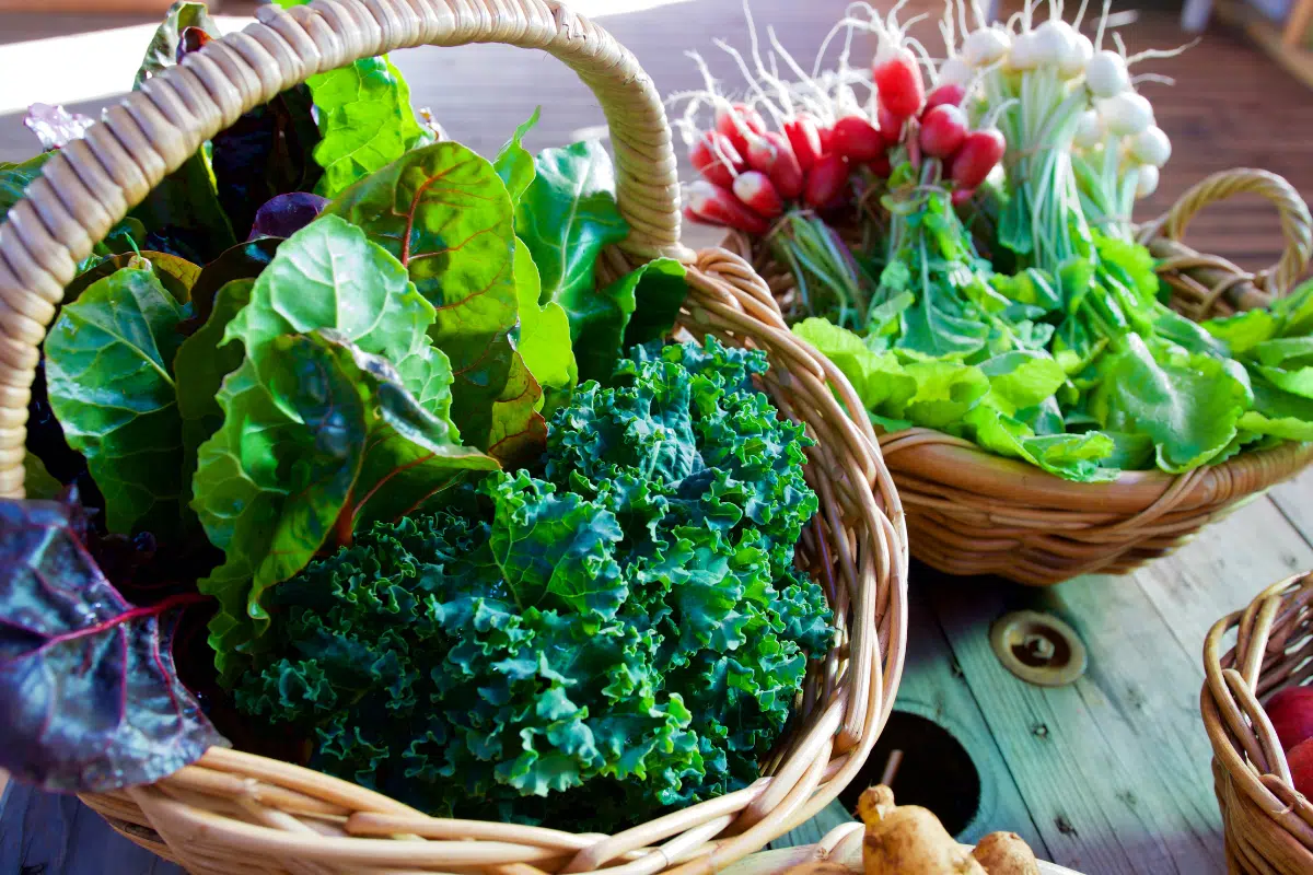 ผักใบเขียว