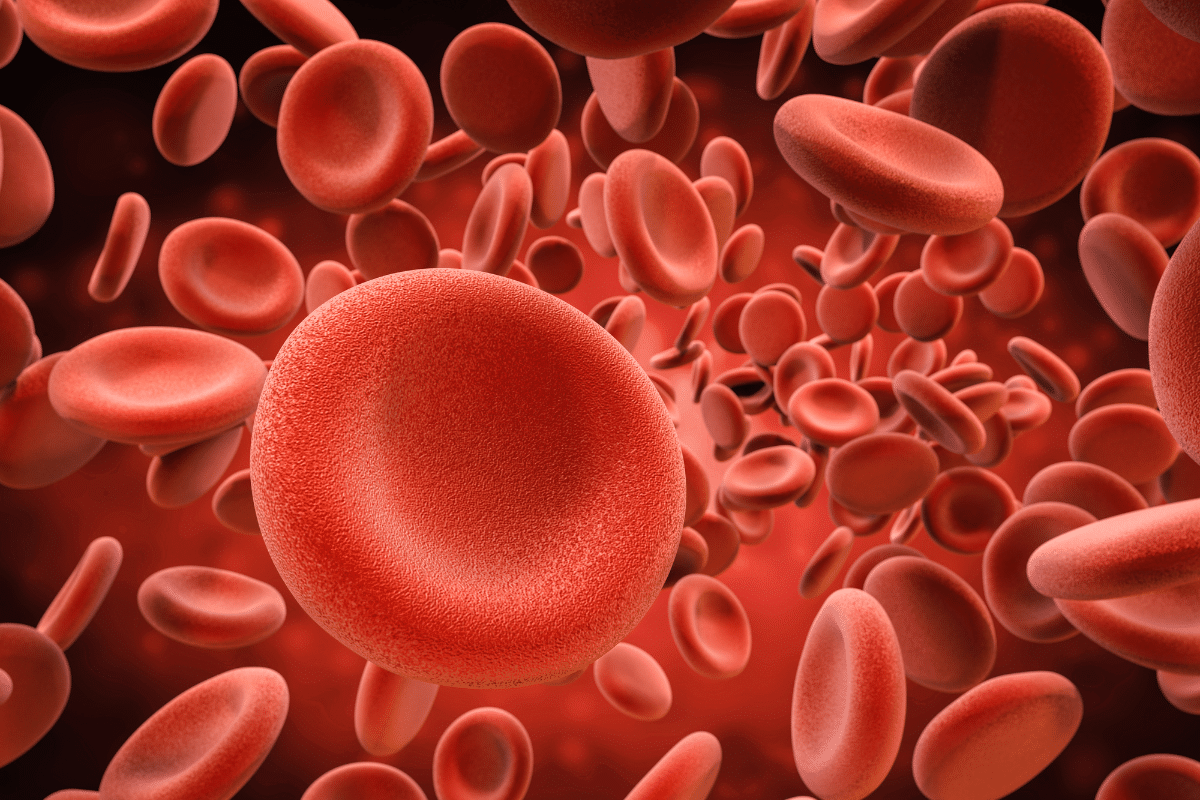 เกล็ดเลือด