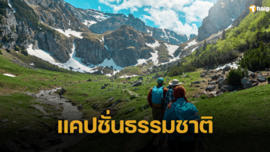 100 แคปชั่นธรรมชาติ เอาใจสายตะลุยป่าเขียว ดำดิ่งน้ำลึก ด้วยคำคมสุดเท่ห์