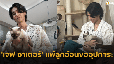 'เจฟ ซาเตอร์' โดนแมวอ้อนหนักกลางรายการ สุดท้ายแพ้ความน่ารักขออุปการะ