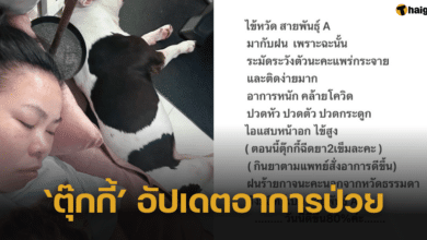 'ตุ๊กกี้' อัปเดตอาการไข้หวัดใหญ่สายพันธุ์ A "มากับฝน" ควรระมัดระวังอย่างยิ่ง