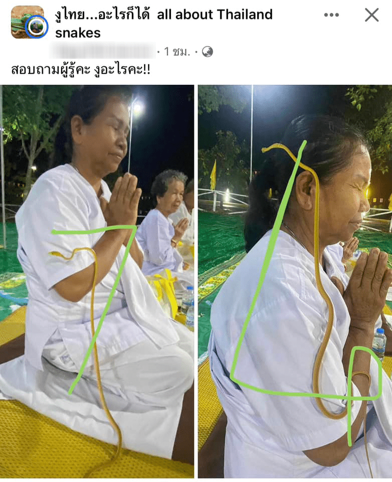 ชาวเน็ตทายเลขกัน