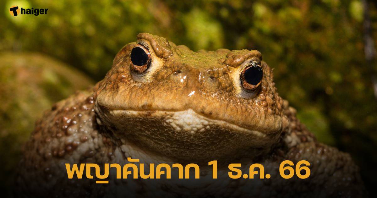 พญาคันคาก เลขเด็ด 12/1/23