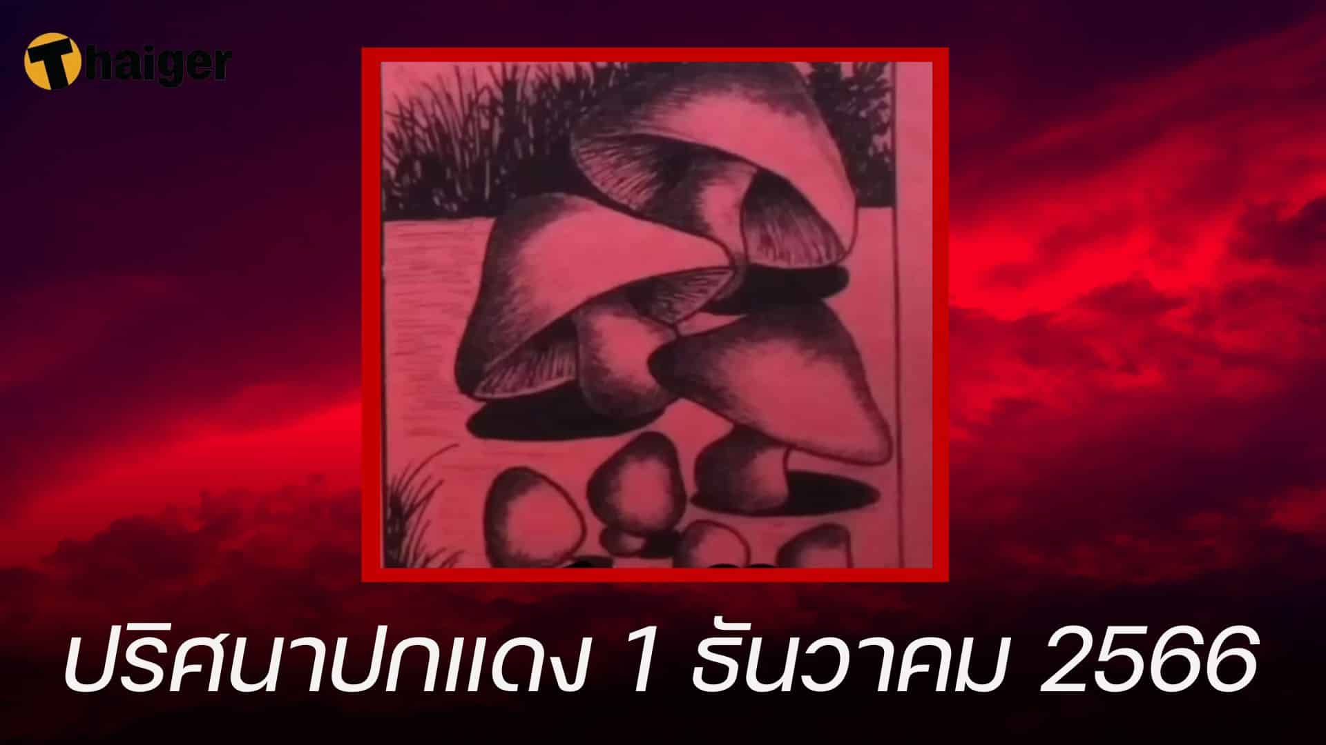 แจกเลขเด็ด ปริศนาปกแดง 1 ธ.ค. 66 ลุ้นเข้ารางวัลต่อเนื่อง | Thaiger ข่าวไทย
