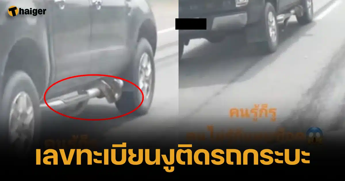 เลขทะเบียนงูตัวใหญ่เลื้อยติดรถกระบะ แห่ซูมลุ้นเลขเด็ดงวดนี้ 16 พ.ย. 66 | Thaiger ข่าวไทย