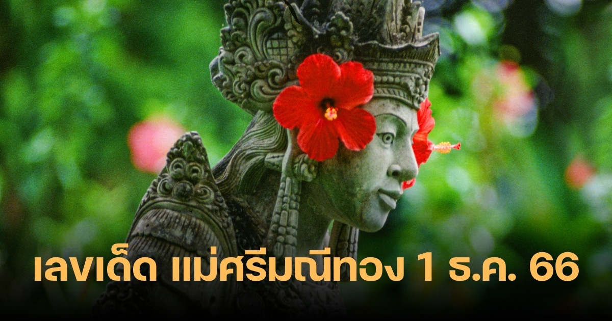 ปริศนาแม่ตะเคียนให้โชค ลุ้นเลขเด็ด 1/12/66 แม่ศรีมณีทองมาแจกทรัพย์แล้ว | Thaiger ข่าวไทย