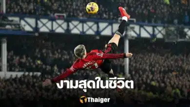 การ์นาโช่