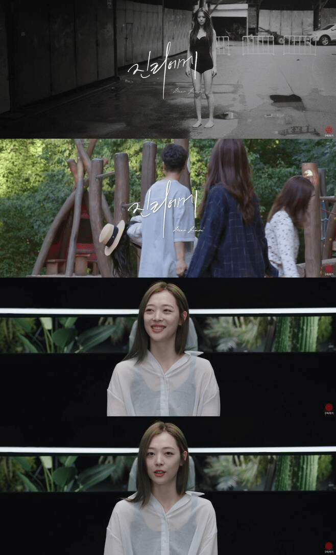 netflix สารคดีซอลลี่