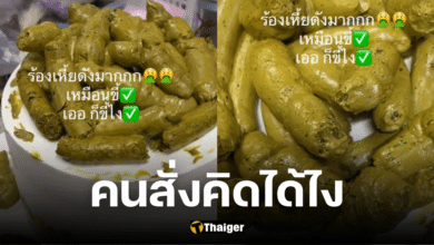 ขยี้ตาแป๊ป เค้กขี้เหมือนทุกอณู เจ้าของรีวิวอร่อยมากมีสัมผัสให้เคี้ยวฉ่ำ