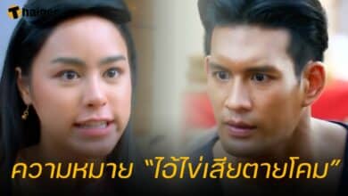 ความหมาย “ไอ้ไข่เสียตายโคม”