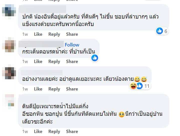 คอมเมนต์ปั่น กะเพราอินี้