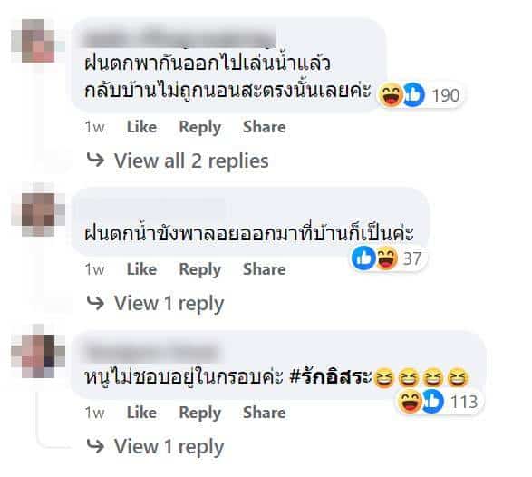 คอมเมนต์วันนี้ ปลูกกะเพรา