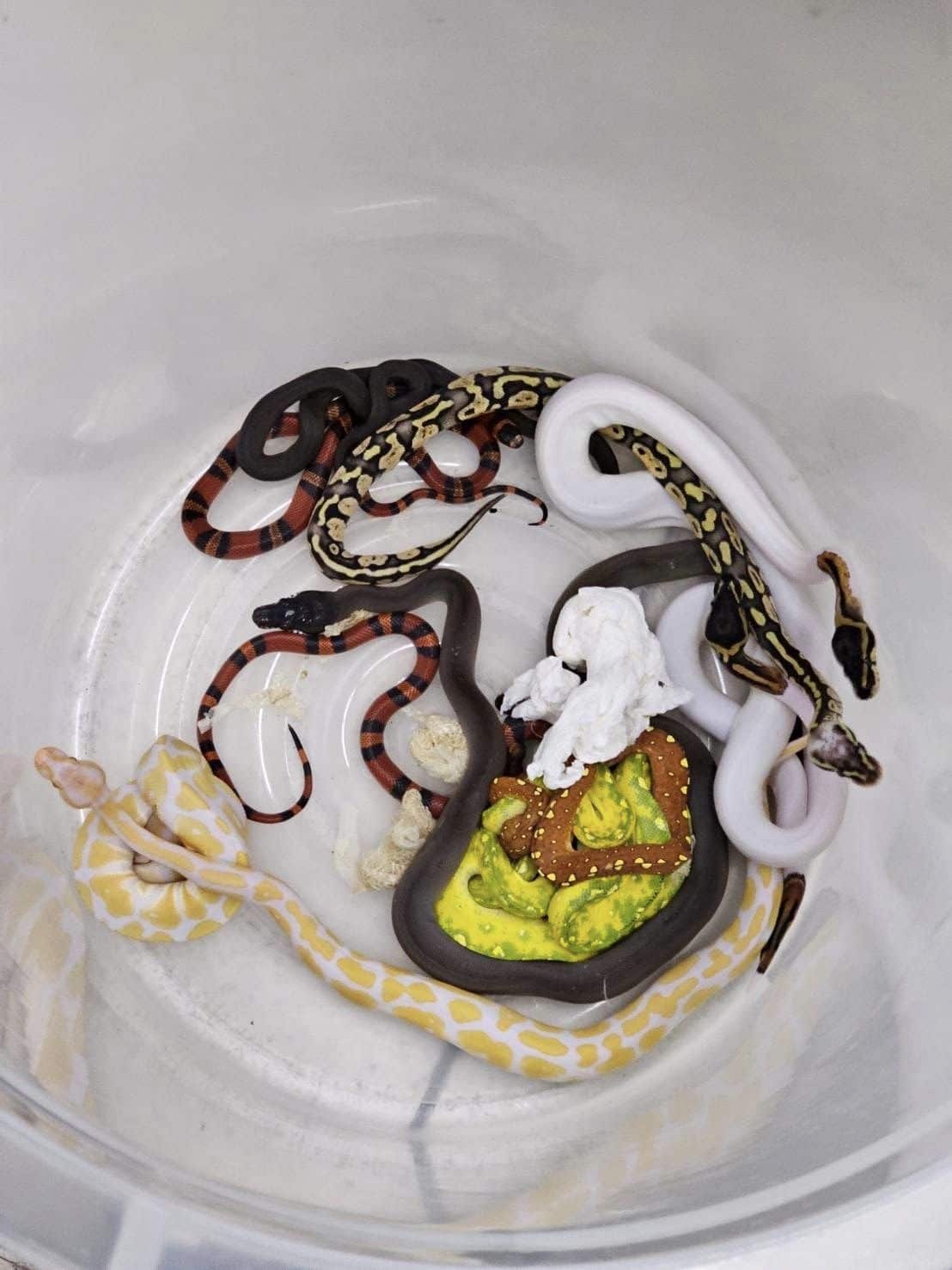 จับนักท่องเที่ยว อิสราเอล