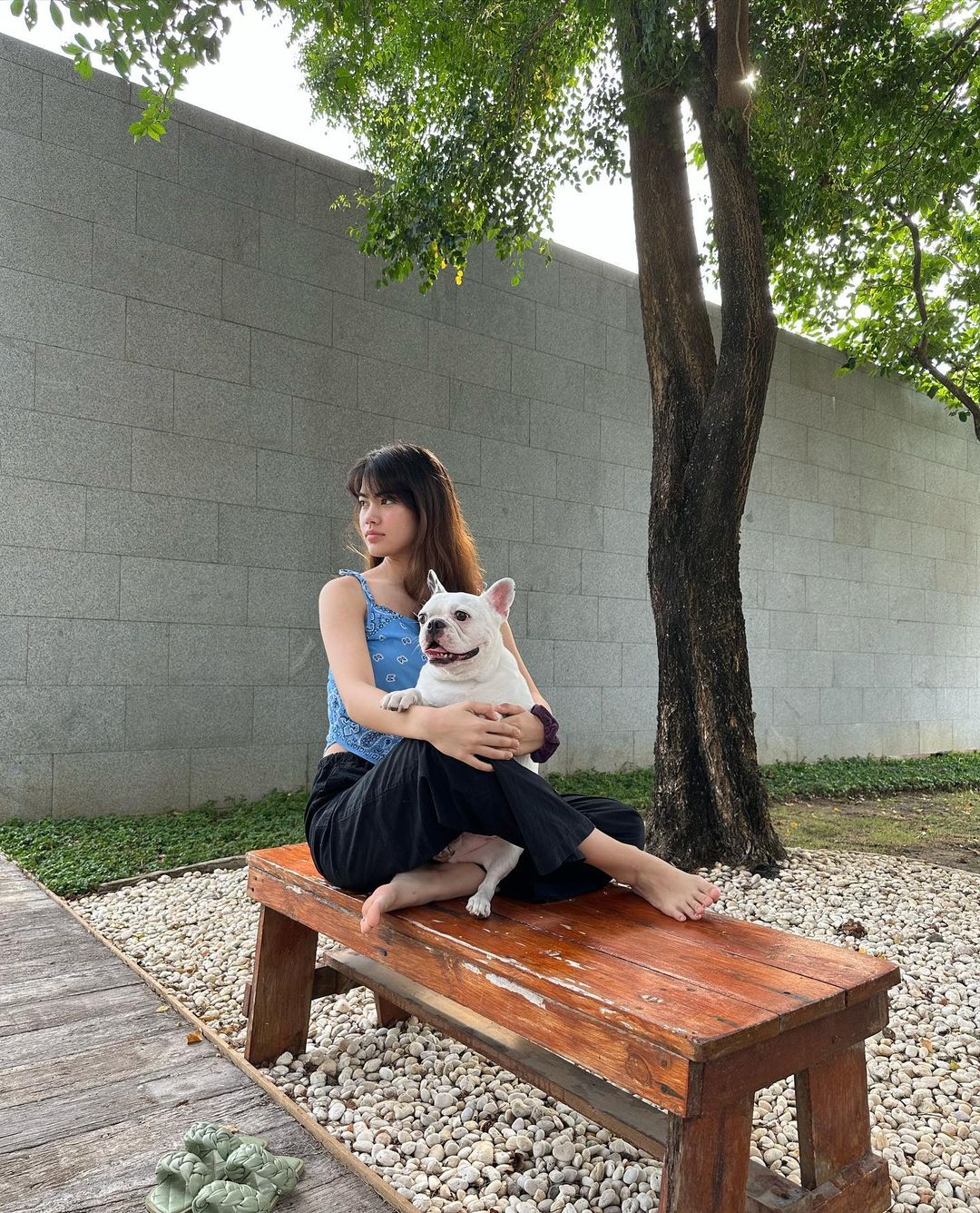 ชาร์เลท วาศิตา แฮเมเนา ตอนโต