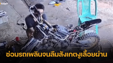 ช่างสุดชิล ซ่อมรถเพลินจนลืมสังเกตงูเลื้อยผ่าน แถมจับงูด้วยมือเปล่า