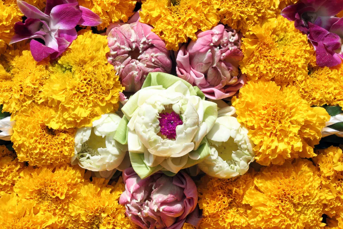 ดอกไม้ใส่กระทง