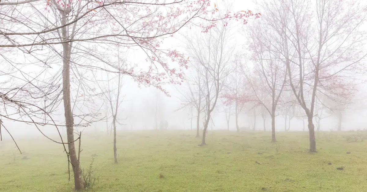 ทั่วไทยมีอากาศหนาวตอนเช้า