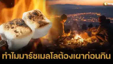 ทำไมมาร์ชเมลโล ต้องเผาไฟก่อนกิน เผยวิธีทานอร่อยถูกใจสายแคมป์ 2566