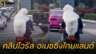 น้องหมาซ้อนมอเตอร์ไซต์