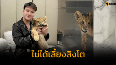 บูม หมูทะ ออกมายืนยัน ไม่ได้เลี้ยงสิงโต