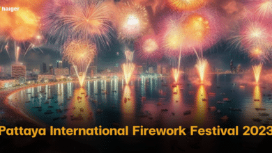 ปักหมุดที่เที่ยวใกล้กรุงเทพรับช่วงหน้าหนาว งานพลุพัทยา 2566