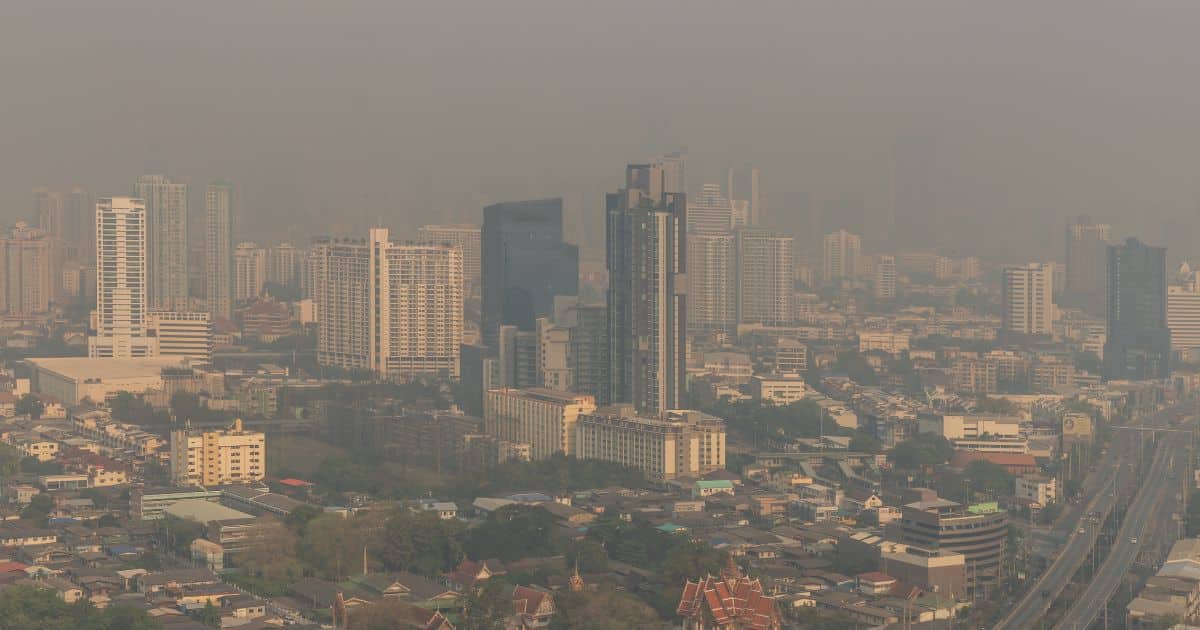 ผลกระทบจากฝุ่น PM 2.5