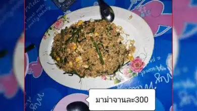 ผัดมาม่า จานละ 300