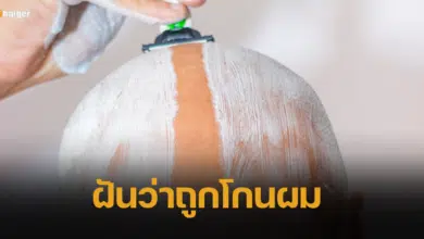 ฝันว่าถูกโกนผม ทำนายความฝัน ตีเลขเด็ด