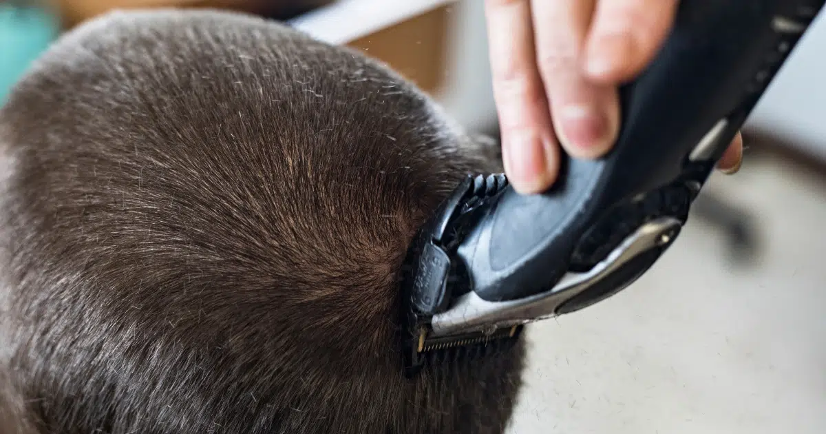 ฝันว่าถูกโกนหัว