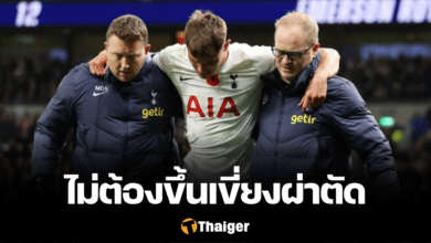 ฟาน เดอ เฟ่น สเปอร์ส