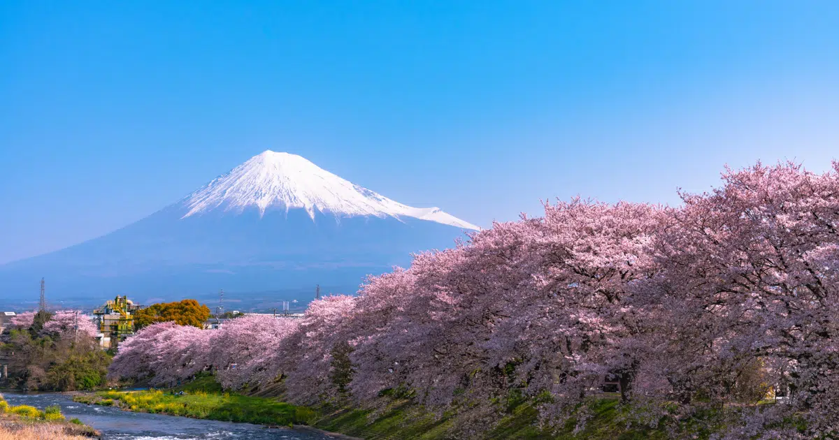 ภูเขาไฟญี่ปุ่น