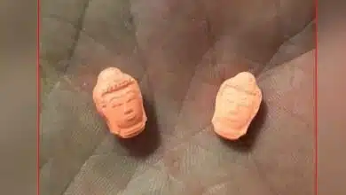 ยาบ้า เศียรพระพุทธรูป