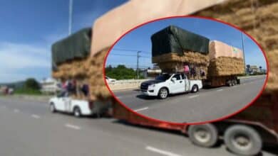 กระบะบรรทุกเกินวันนี้ ไวรัลในไทย