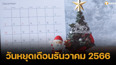 วันหยุดเดือนธันวาคม 2566 ภาพปก