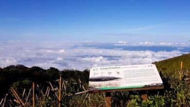 อากาศหนาว เดือนไหน