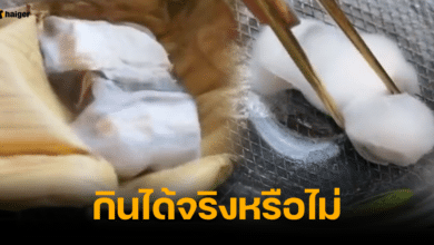 อาจารย์เจษฎ์ตอบแล้ว เต้าหู้ขน กินได้จริงหรือไม่